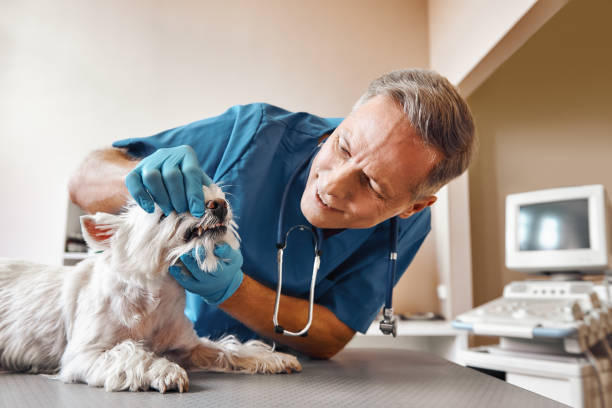 Best Dentist for Tooth Abscess  in Pine Prairie, LA
